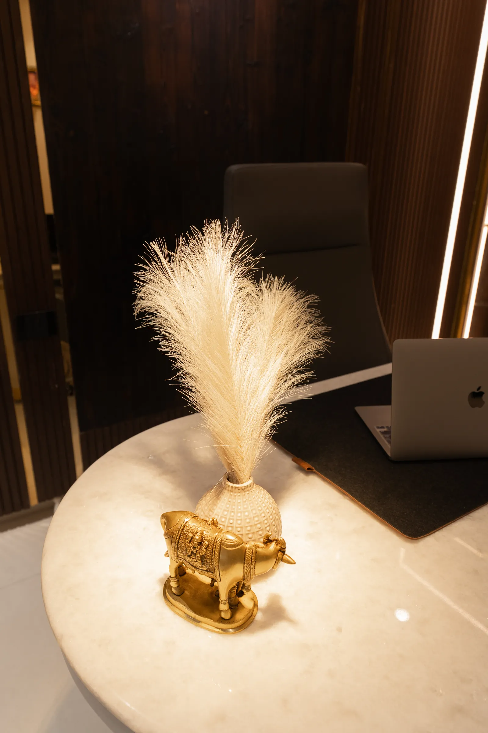 Brass decor piece with pampas grass on a marble table — Abhishek's Residence